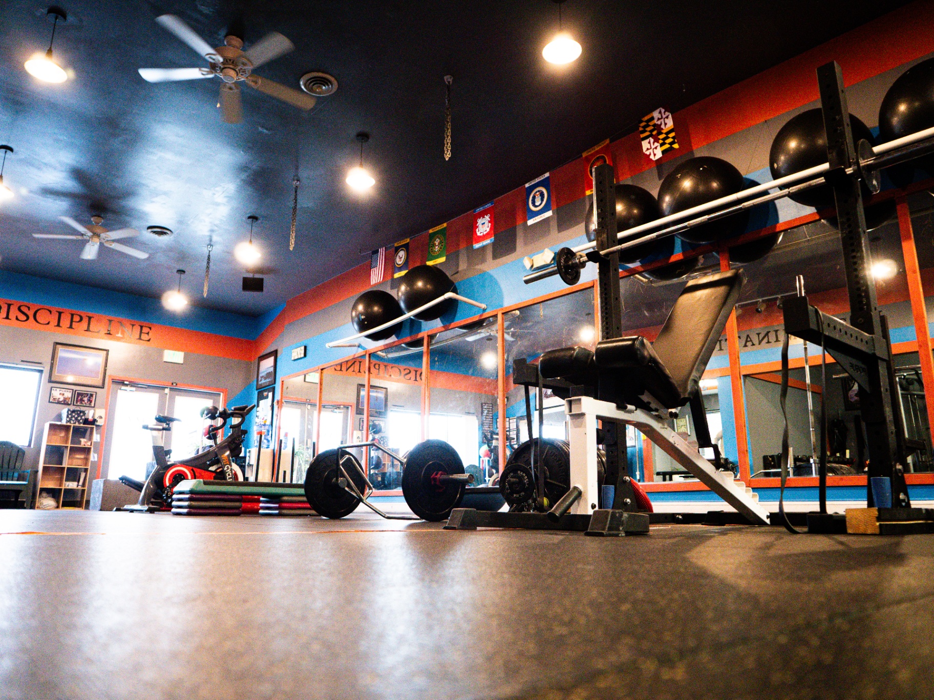 Discipline wall with bench press and squat rack